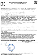 Декларация 10055694 Макет ДС ТР ЕАЭС